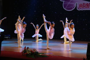 專業(yè)攝影攝像服務(wù)，定格新會(huì)最美瞬間