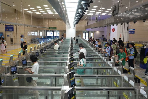 中國科技網 引領網絡技術服務創新，賦能數字中國建設